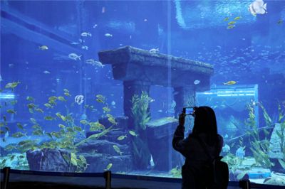 水族館免費開放時間（徐州市水族展覽館2023年免費開放時間詳情） 水族館百科（水族館加盟） 第5張