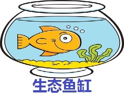 水族館加盟代理怎么樣啊賺錢嗎（上海海洋水族館加盟） 水族館百科（水族館加盟） 第5張