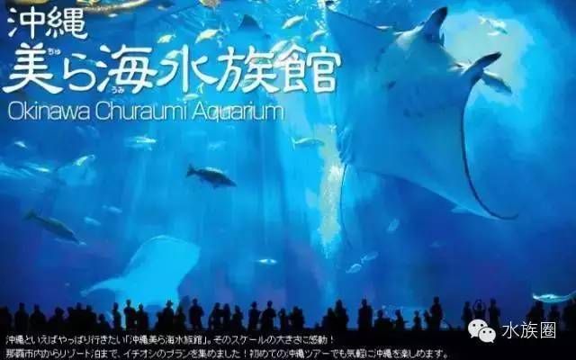 水族館排行榜第一名（世界最大水族館-喬治亞） 水族館百科（水族館加盟） 第2張