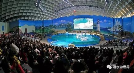 水族館能賺錢嗎（開設(shè)水族館涉及多個(gè)方面的成本主要包括以下幾個(gè)方面） 水族館百科（水族館加盟） 第5張