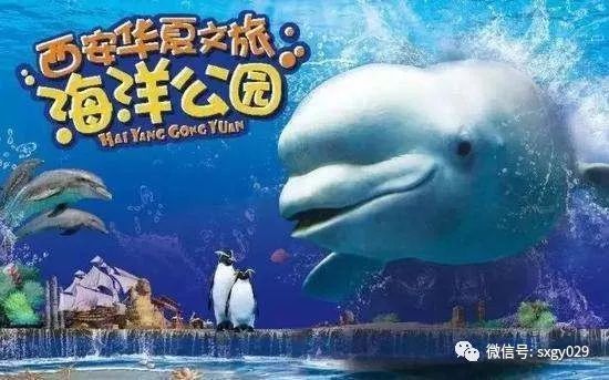 開(kāi)個(gè)水族館的艱難之旅英語(yǔ)（開(kāi)一家水族館需要克服眾多難題，）