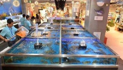 水族館進(jìn)貨渠道（水族館進(jìn)貨渠道的優(yōu)化策略） 水族館百科（水族館加盟） 第2張