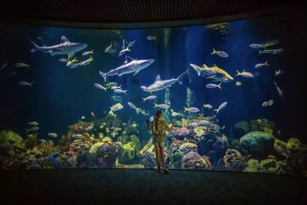 水族館起名字取名（創(chuàng)意水族館名字案例）