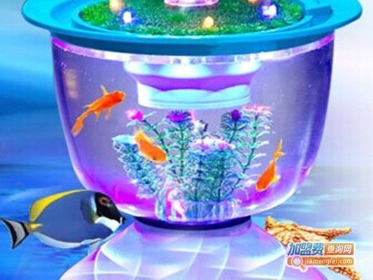 水族館一般賣什么東西賺錢（水族館特色紀(jì)念品設(shè)計(jì)案例分析水族館繁殖技術(shù)培訓(xùn)課程） 水族館百科（水族館加盟） 第4張