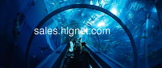 開水族館掙錢嗎現(xiàn)在（開一家水族館是否盈利取決于多種因素） 水族館百科（水族館加盟） 第5張