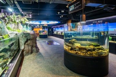 水族館是什么？（世界上第一個供展覽用的水族館在全球范圍內(nèi)迅速發(fā)展） 水族館百科（水族館加盟） 第5張