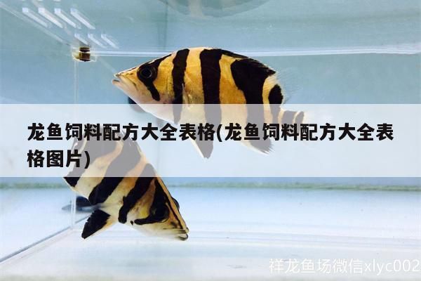 龍魚飼料配方大全（龍魚飼料營養(yǎng)成分分析）