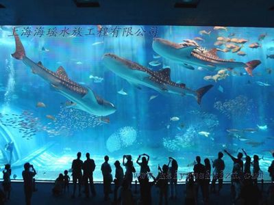 水族館建造（關(guān)于水族館建設(shè)的詳細(xì)信息）