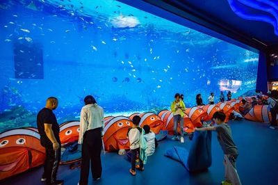 開一家水族館需要些什么東西呢視頻（開一家水族館需要準(zhǔn)備什么） 水族館百科（水族館加盟） 第5張