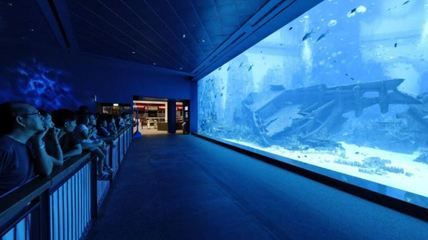 水族館一年能賺多少錢人民幣啊圖片（水族館一年能賺多少錢人民幣水族館一年能賺多少錢） 水族館百科（水族館加盟） 第5張