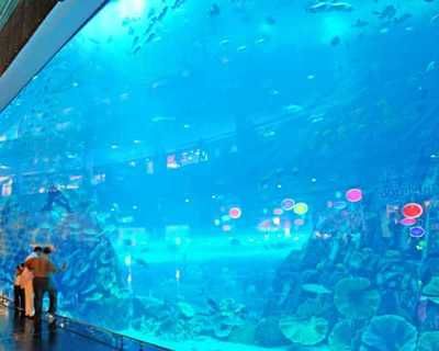 開一家水族館需要些什么東西（開一家水族館需要準(zhǔn)備什么）