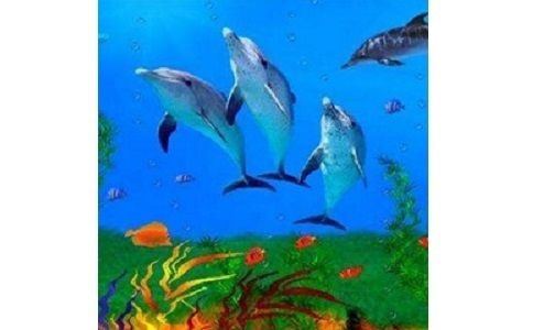 水族館 屏保（夢(mèng)幻水族館屏保的使用） 水族館百科（水族館加盟） 第3張