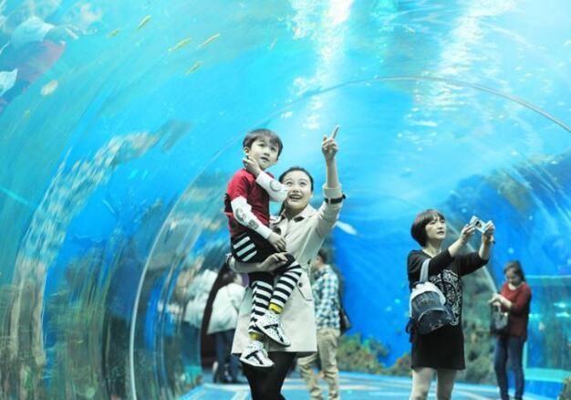 水族館盈利模式分析圖（水族館的盈利模式） 水族館百科（水族館加盟） 第5張