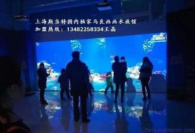 水族館加盟代理怎么樣?。ㄋ屦^加盟條件） 水族館百科（水族館加盟） 第4張