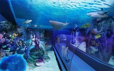 水族館一般多少錢一個(gè)月?。ㄩ_一家水族館涉及多種費(fèi)用） 水族館百科（水族館加盟） 第5張