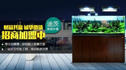 祥龍魚場水族館加盟