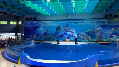 最好玩的水族館（上海海洋水族館親子活動上海海洋水族館親子活動） 水族館百科（水族館加盟） 第5張