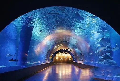 水族館一般多大面積（上海水族館的面積）