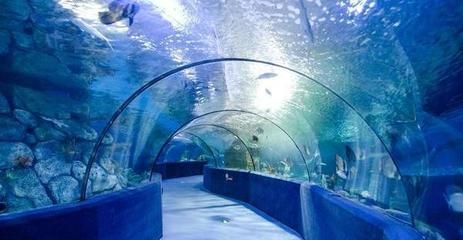 建一個水族館需要多少錢（加盟水族館需要多少費(fèi)用） 水族館百科（水族館加盟） 第4張