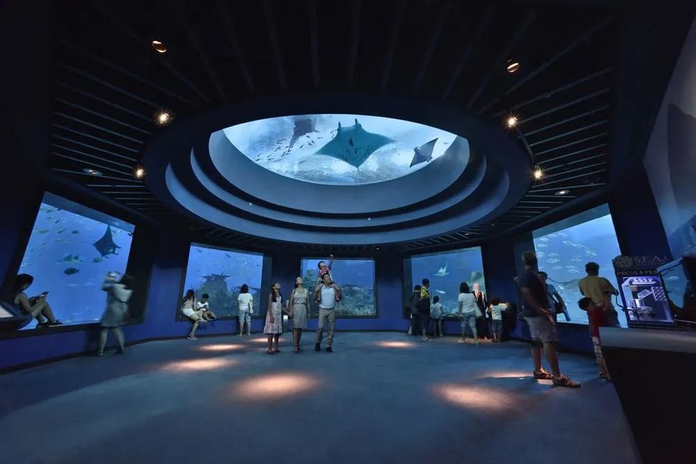 水族館發(fā)展現(xiàn)狀怎么寫(xiě)（關(guān)于水族館發(fā)展現(xiàn)狀的建議）