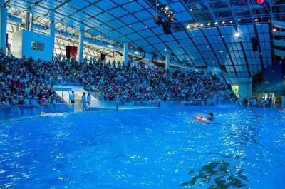 水族館的名字有哪些（水族館名字的創(chuàng)意與選擇）