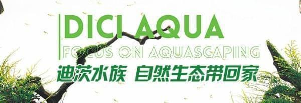 投資水族館需要多少錢(qián)呢（開(kāi)一家水族館的投資成本） 水族館百科（水族館加盟） 第3張