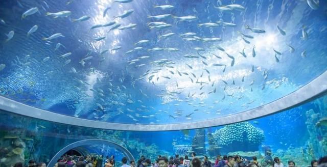 國內(nèi)水族館排行（2018年國內(nèi)水族館排行榜） 水族館百科（水族館加盟） 第3張