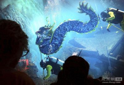 開個水族館前景怎么樣?。ㄩ_一家水族館前景如何） 水族館百科（水族館加盟） 第5張