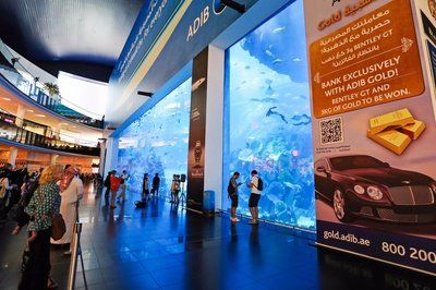 水族館是干嘛的（水族館不僅是一個(gè)讓人們欣賞水生生物美麗的地方，也讓人們欣賞） 水族館百科（水族館加盟） 第5張