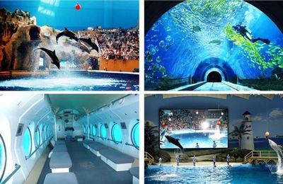 水族館是啥意思（上海海洋水族館特色展覽有哪些水族館對環(huán)保意識提升作用） 水族館百科（水族館加盟） 第2張