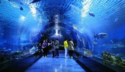 水族館是啥意思（上海海洋水族館特色展覽有哪些水族館對(duì)環(huán)保意識(shí)提升作用）