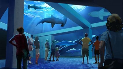 水族館是啥意思（上海海洋水族館特色展覽有哪些水族館對環(huán)保意識提升作用） 水族館百科（水族館加盟） 第3張