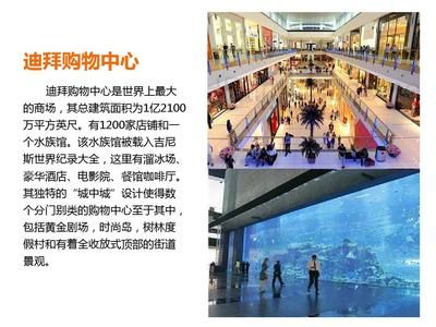 水族館店鋪分類屬于什么類型（觀賞魚(yú)專營(yíng)店,綜合型水族館店鋪,） 水族館百科（水族館加盟） 第5張