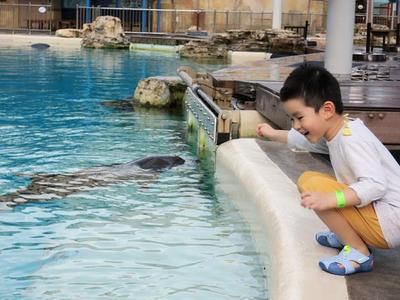 水族館配文（上海海洋水族館特色展覽） 水族館百科（水族館加盟） 第4張