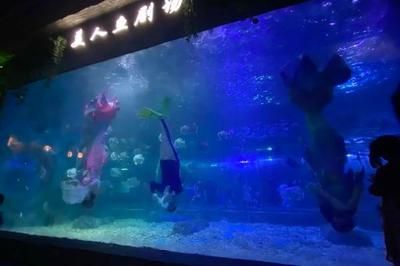 水族館投資大概多少錢(qián)一個(gè)月（開(kāi)一個(gè)水族館的投資成本是多少）