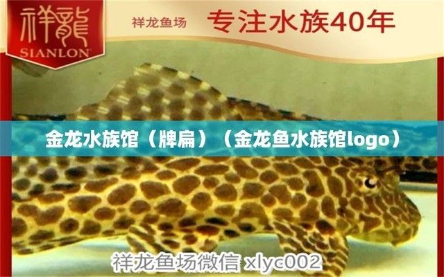 水族館牌子圖片（水族館牌子的設(shè)計與制作） 水族館百科（水族館加盟） 第3張