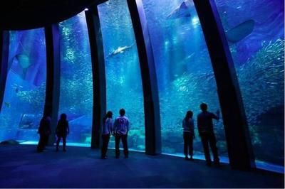 水族館在哪里看動漫（《白沙的水族館》水族館觀看動漫詳情）