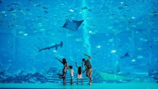 海南哪個水族館最好（三亞亞特蘭蒂斯水族館和?；◢u歐堡酒店水族館是較為知名的景點） 水族館百科（水族館加盟） 第4張