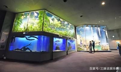 水族館主營（水族館主營詳情）