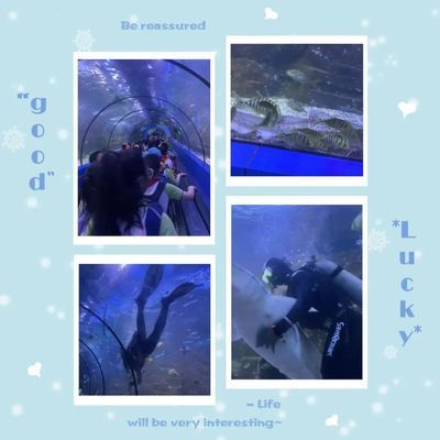 美麗水世界水族館（廣州美麗水世界水族館） 水族館百科（水族館加盟） 第5張