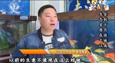 水族館生意怎么樣好做嗎知乎（水族館行業(yè)發(fā)展趨勢預測） 水族館百科（水族館加盟） 第3張