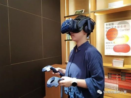 水族館VR體驗如何提升觀展（vr水族館vr體驗如何提升觀展體驗）