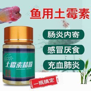 紅龍魚鰭上有白色點用土霉素可以治療嗎？（土霉素是治療紅龍魚鰭上白色點的有效藥物嗎？） 龍魚百科 第4張