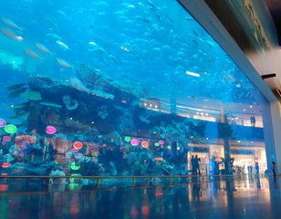 水族館里一般有什么動物呢（水族館中的特殊展區(qū)）