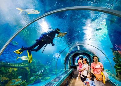 水族館哪個地方的好（上海海洋水族館親子游玩攻略大連圣亞海洋世界門票優(yōu)惠） 水族館百科（水族館加盟） 第4張