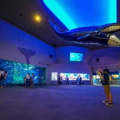 水族館開在什么地方合適（水族館如何選址）