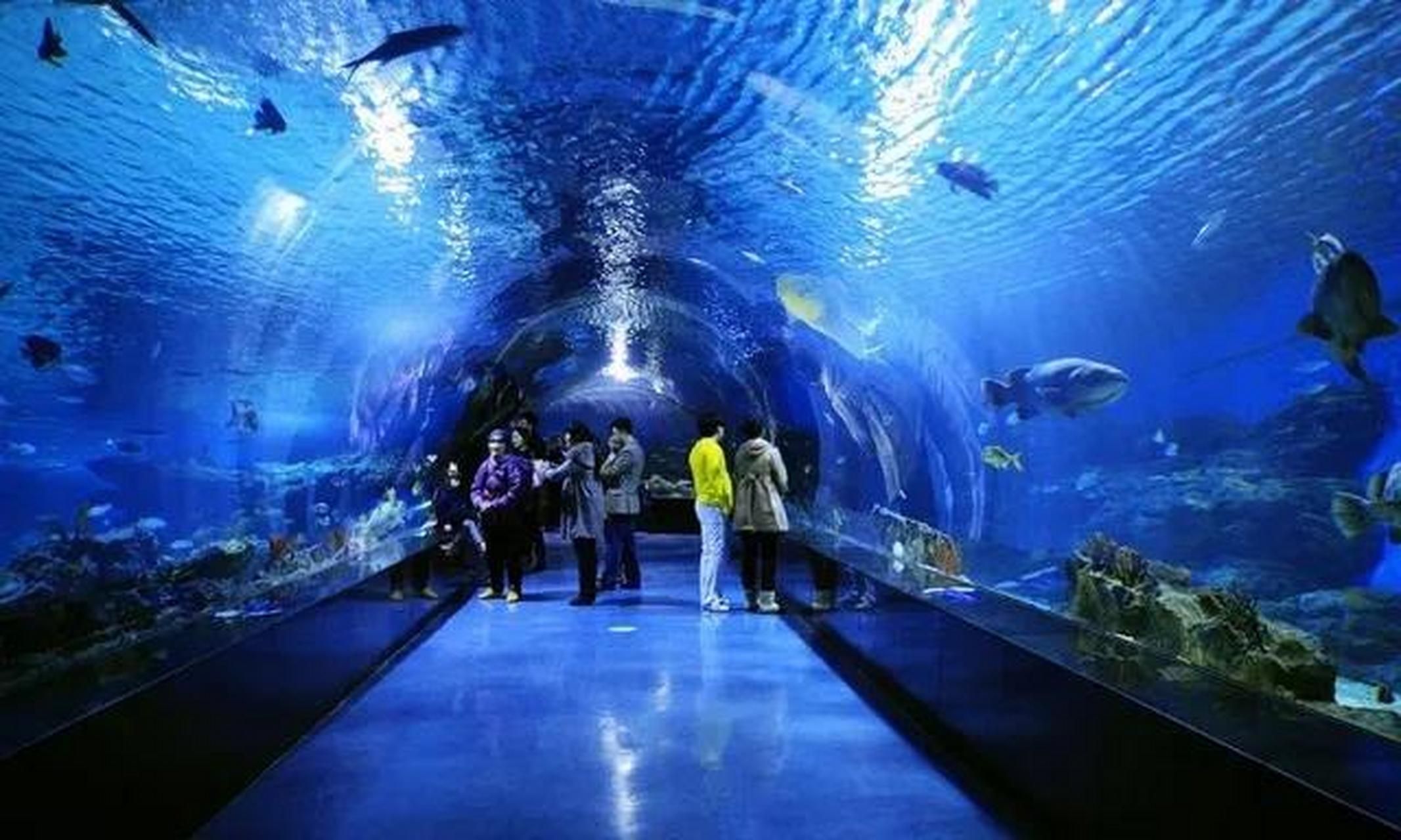 水族館開在什么地方合適（水族館如何選址） 水族館百科（水族館加盟） 第4張