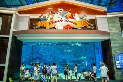 怎么開一家水族館（開一家水族館的詳細(xì)步驟和注意事項(xiàng)和注意事項(xiàng)）