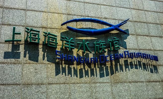 水族館價(jià)格表最新（上海海洋水族館價(jià)格表）