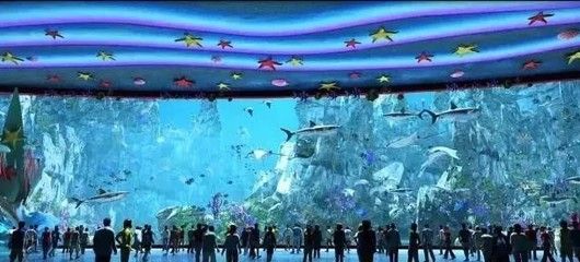 水族館店鋪照片真實（關于水族館店鋪照片真實詳情） 水族館百科（水族館加盟） 第4張